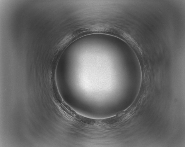 X0000060260201200510281214