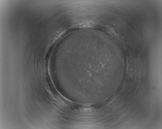 X0000060260202200510281214