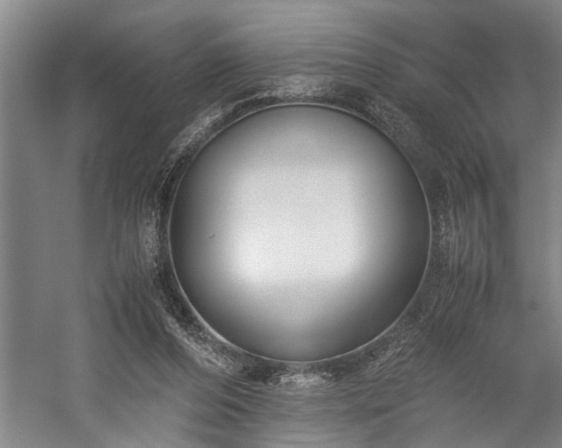 X0000060260208200510281214