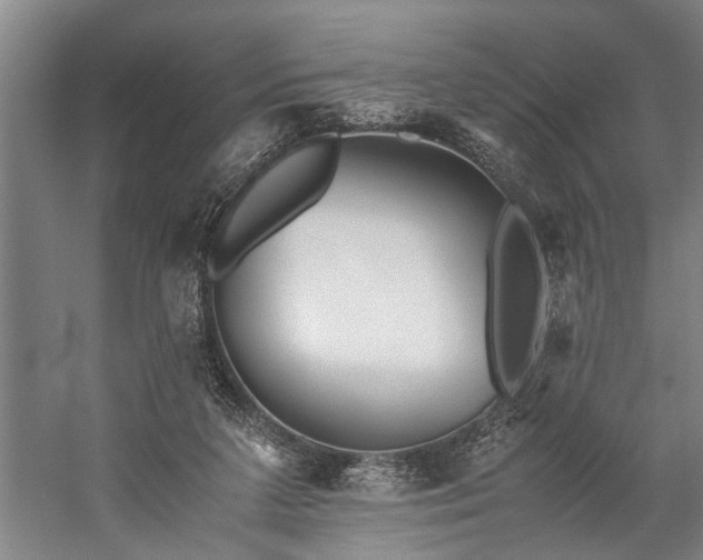 X0000060260211200510281214