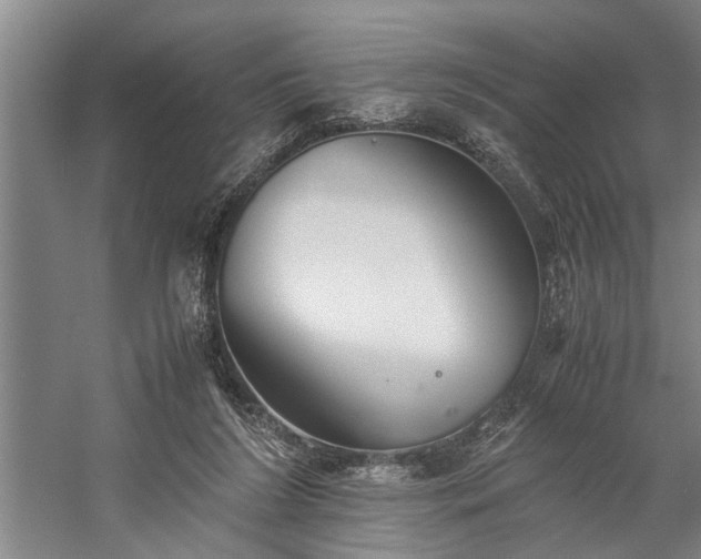 X0000060260212200510281214