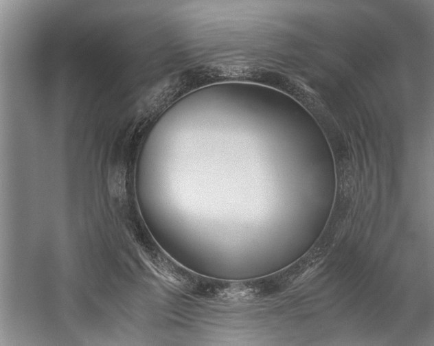 X0000060260213200510281214