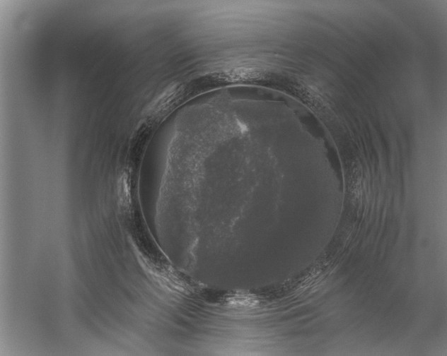 X0000060260214200510281214