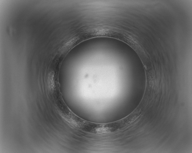 X0000060260216200510281214