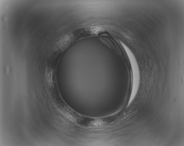 X0000060260219200510281214