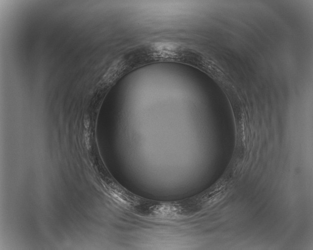 X0000060260223200510281214