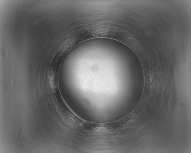 X0000060260224200510281214