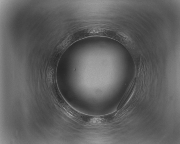 X0000060260227200510281214