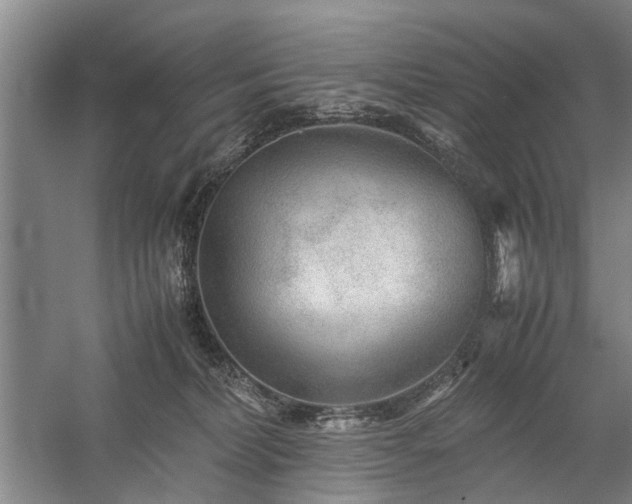 X0000060260228200510281214