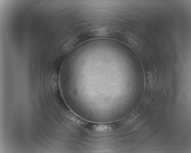 X0000060260230200510281214