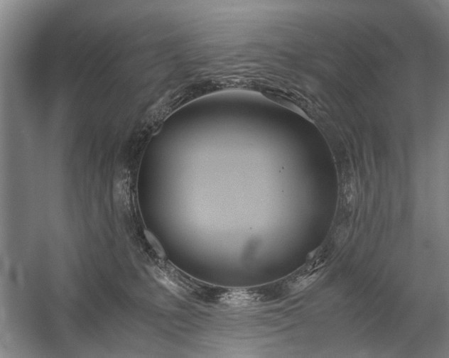 X0000060260231200510281214