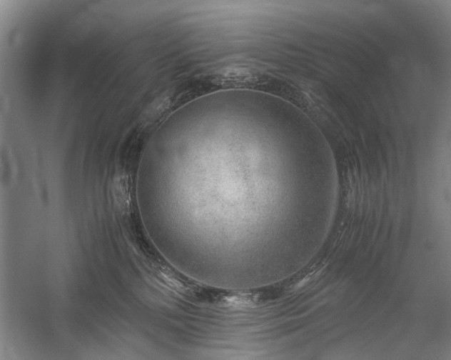 X0000060260232200510281214