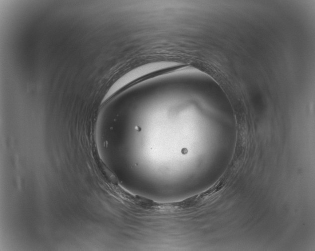 X0000060260233200510281214