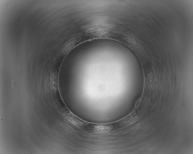 X0000060260234200510281214