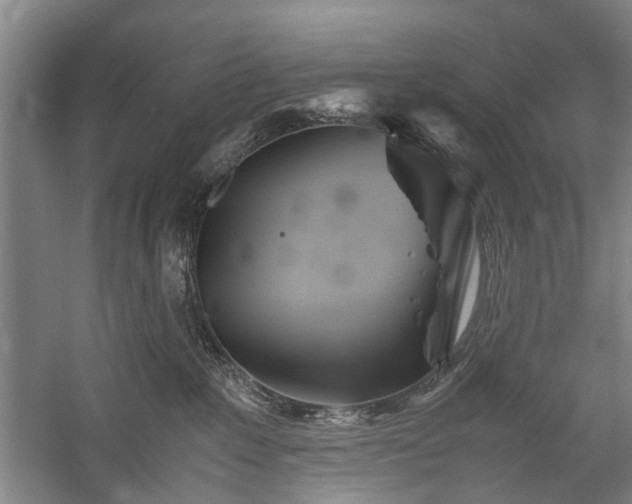 X0000060260235200510281214