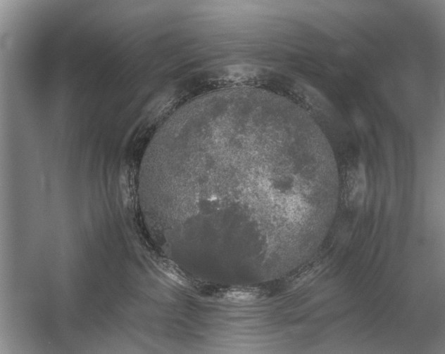 X0000060260236200510281213