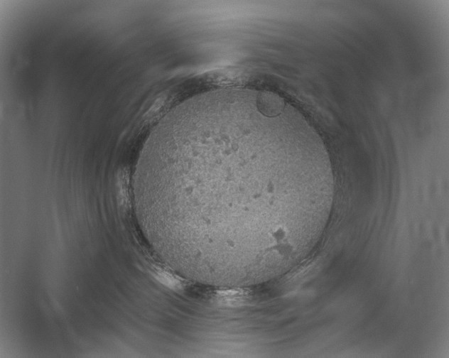 X0000060260240200510281213