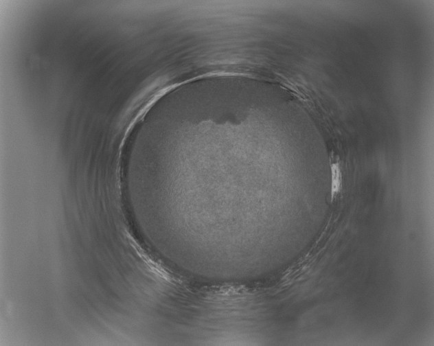 X0000060260243200510281213