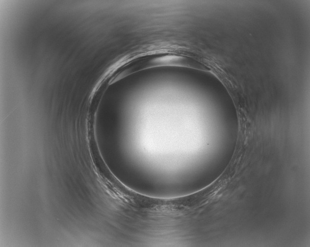 X0000060260244200510281213