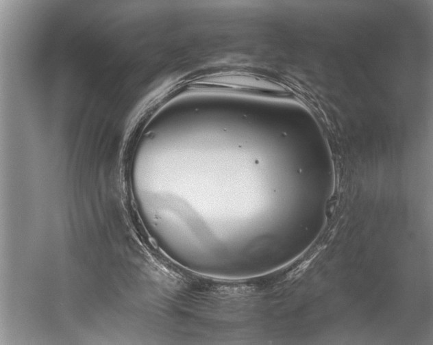 X0000060260245200510281213