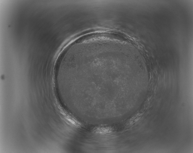 X0000060260247200510281213