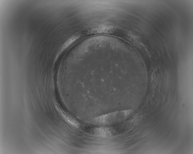 X0000060260250200510281213