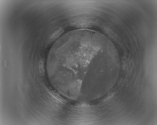 X0000060260258200510281213