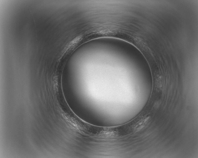 X0000060260260200510281213