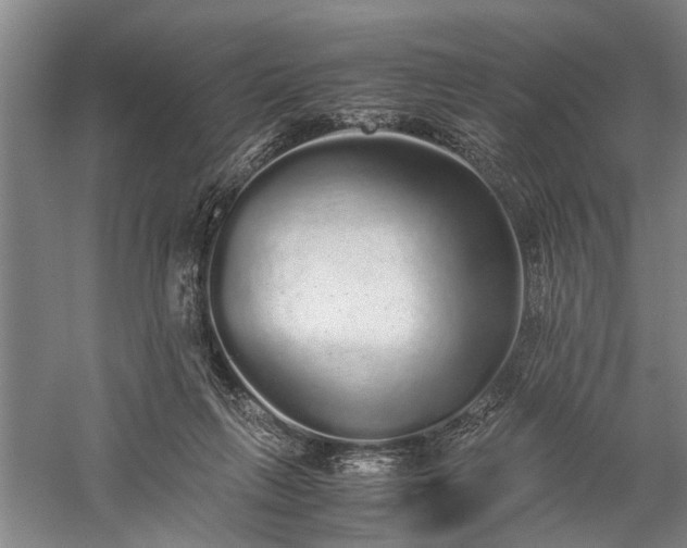 X0000060260263200510281213