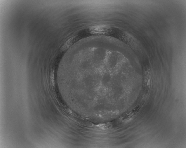 X0000060260267200510281213