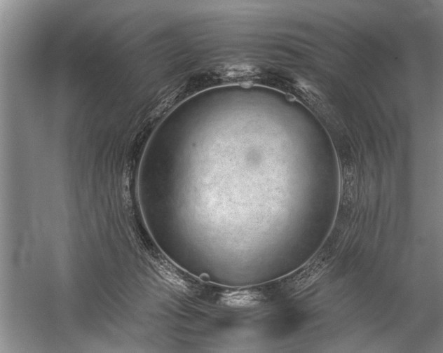 X0000060260269200510281213