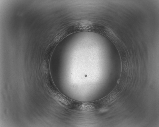 X0000060260270200510281213