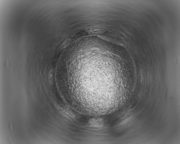 X0000060260271200510281213