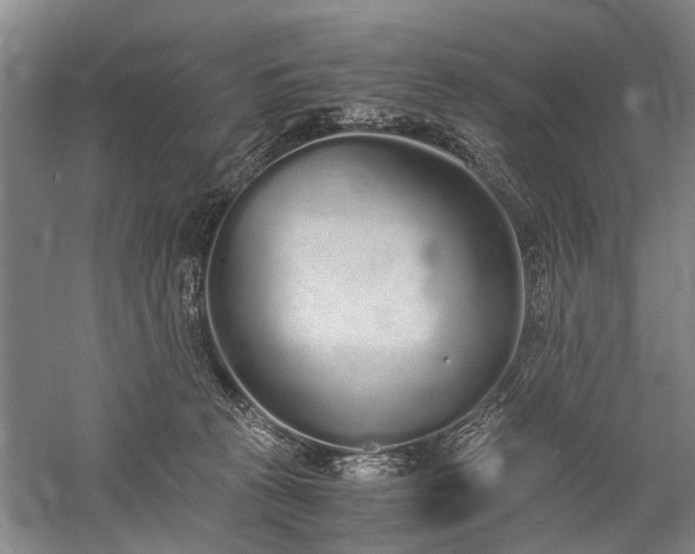 X0000060260273200510281213