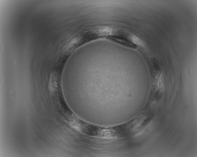 X0000060260277200510281213