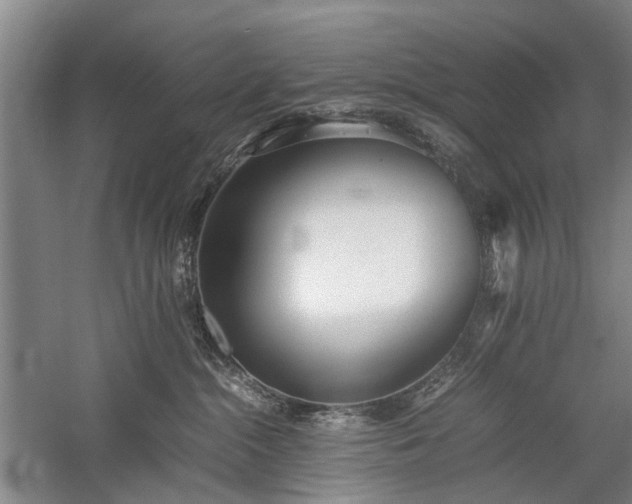 X0000060260284200510281213