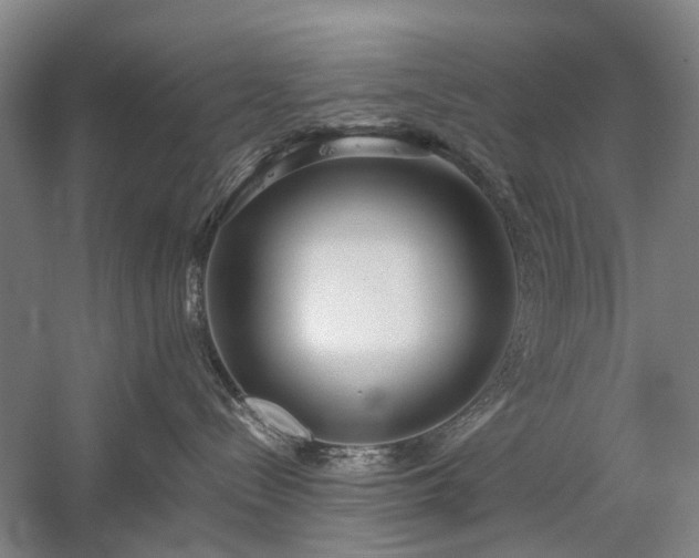 X0000060260288200510281213