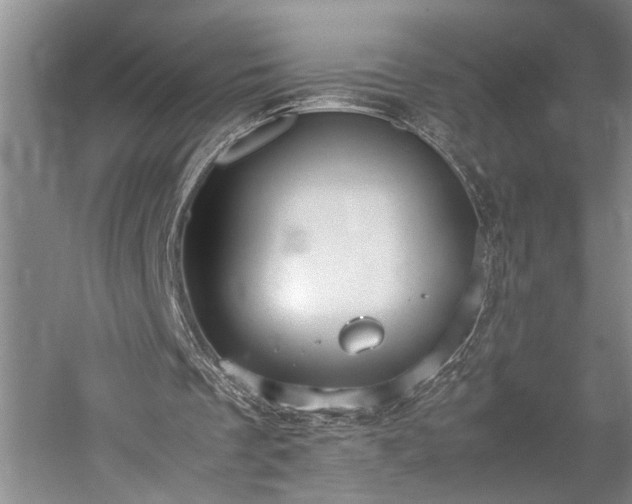 X0000060260289200510281213