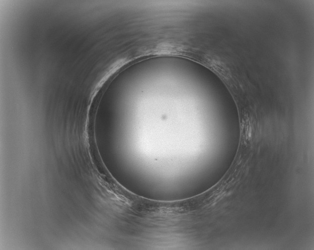 X0000060260292200510281213