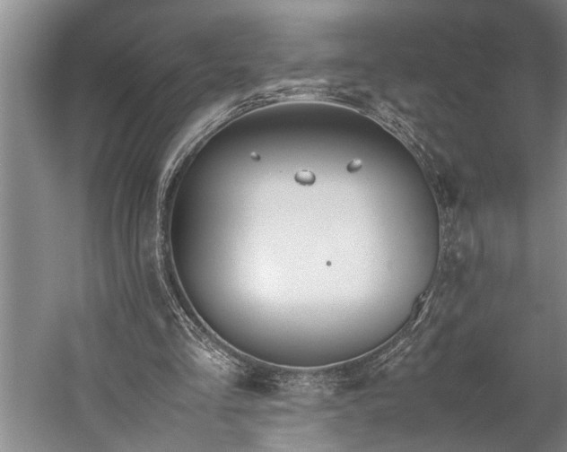 X0000060260293200510281213