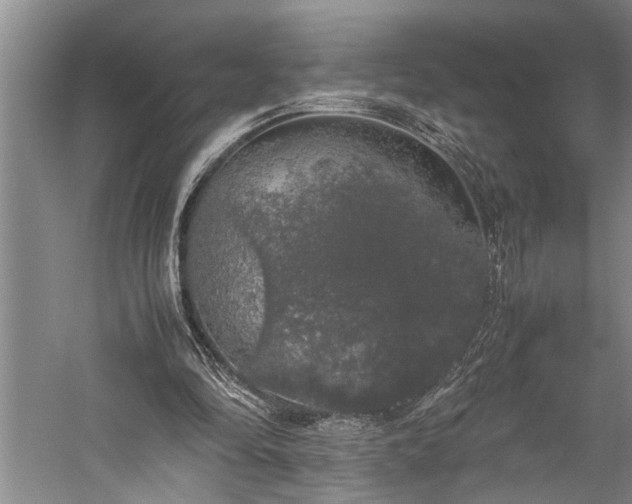 X0000060260294200510281213