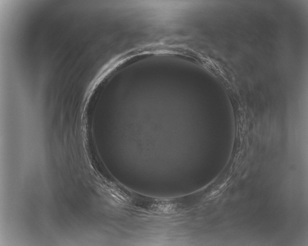 X0000060260295200510281212