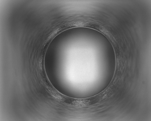 X0000060260297200510281212