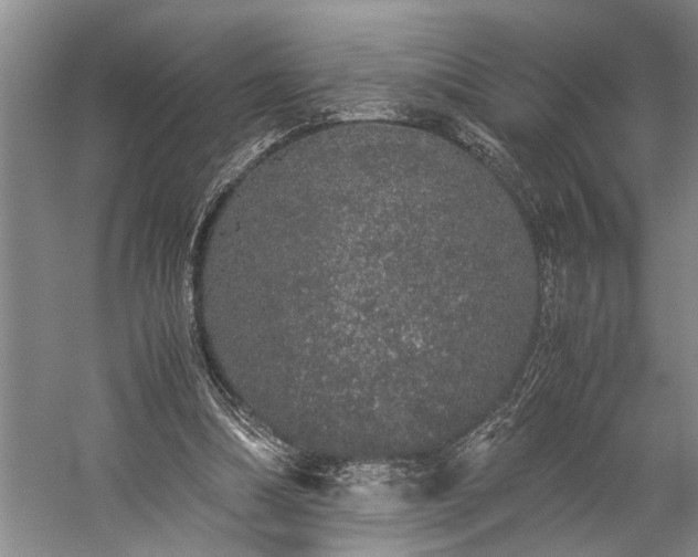 X0000060260298200510281212