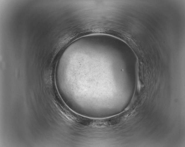 X0000060260299200510281212