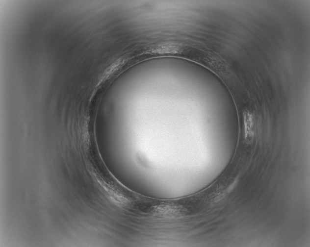 X0000060260300200510281212