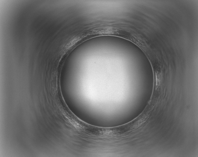 X0000060260301200510281212