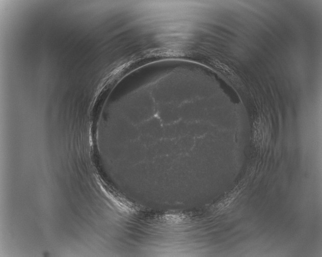 X0000060260302200510281212