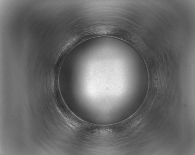 X0000060260304200510281212