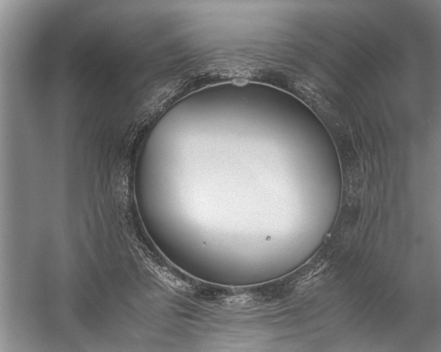 X0000060260309200510281212